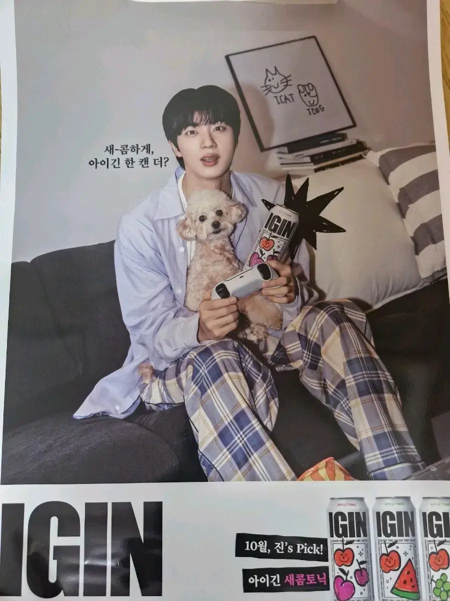 BTS BTS Jin GS25 Igin Apple Tonic poster on Bunjang Global Site.
